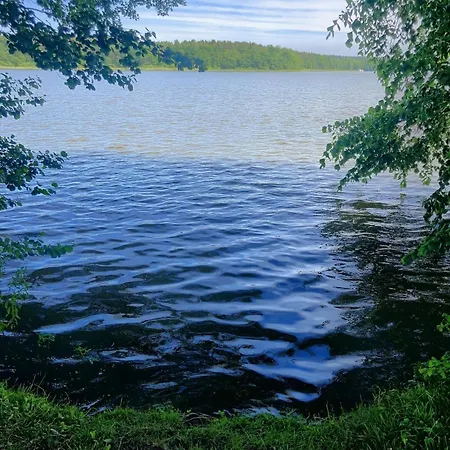 Suedzimmer 2 Sw Lejlighed Lärz